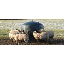 Balkupa rund för får