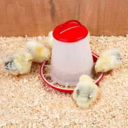 Foderautomat 1 liter till kycklingar