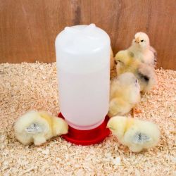 Vattenautomat till kycklingar och vaktlar 1 liter