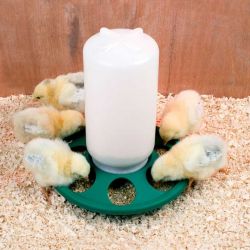 Foderautomat 1 kg med hål för kycklingar och vaktlar