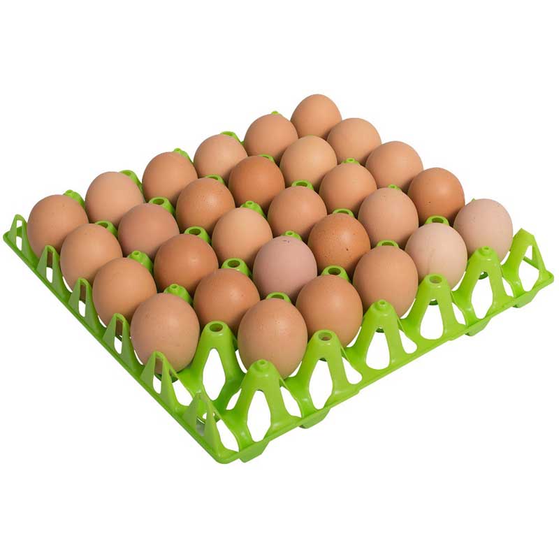 Äggbricka i plast 30 ägg
