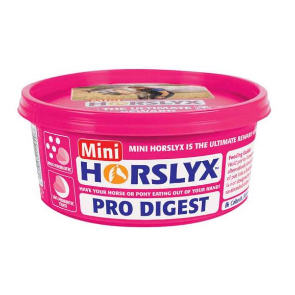 Horslyx Slicksten Pro Digest 650 g