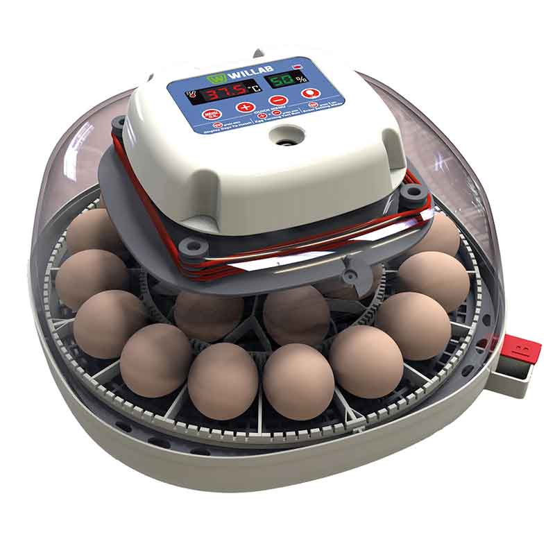 Läs mer om Äggkläckare Willab med inbyggd ägglampa