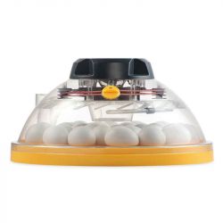 Äggkläckare Maxi II Eco Brinsea