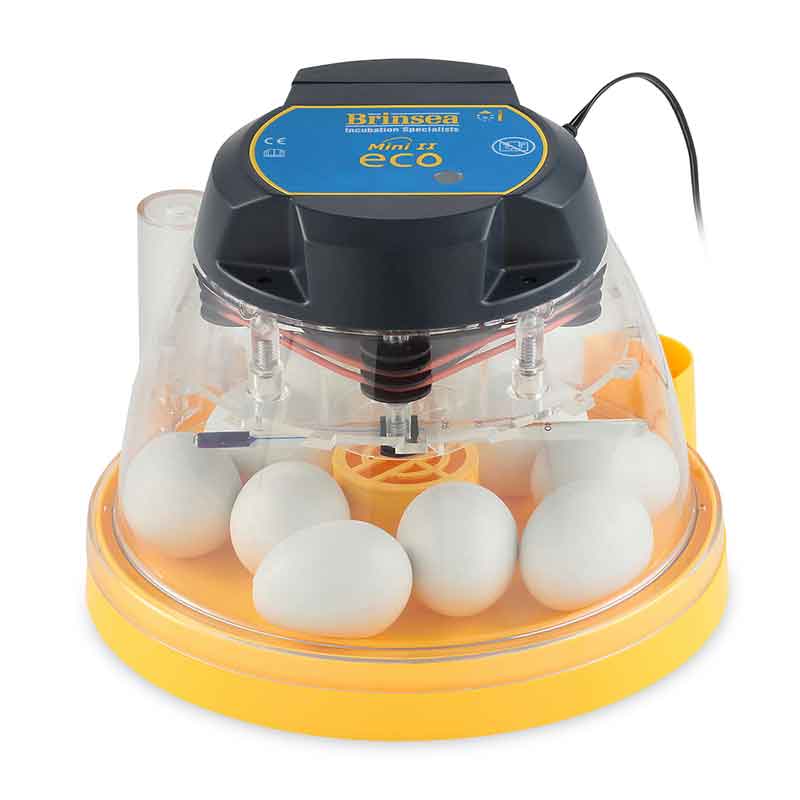 Läs mer om Äggkläckningsmaskin Mini II Eco Brinsea